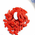 Vente chaude de baies de goji séchées biologiques en vrac de baies de goji en gros baies de goji